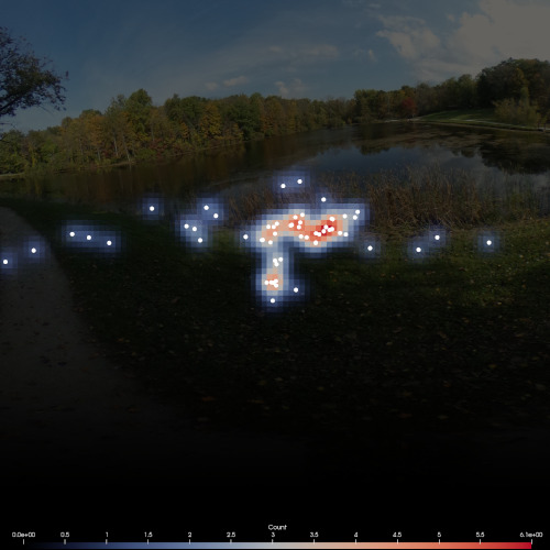 A visualization of head-tracking data taken while a patient viewed a panoramic image of a lake surrounded by trees. White circles show locations on the image which the patient was facing at different times. The same location data is aggregated into a heatmap in shades of blue to red behind the white circles.