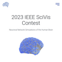 A screenshot of the website for the IEEE SciVis Contest 2023 showing a network simulation of a human brain.